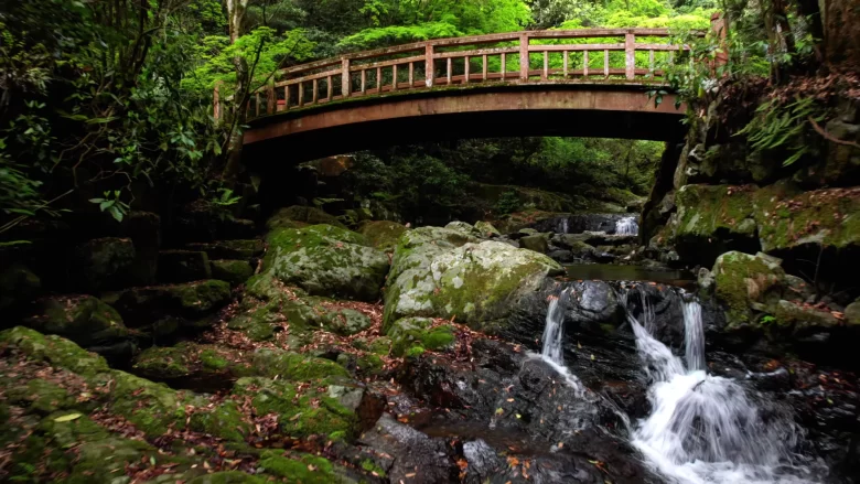 小川にかかる橋
