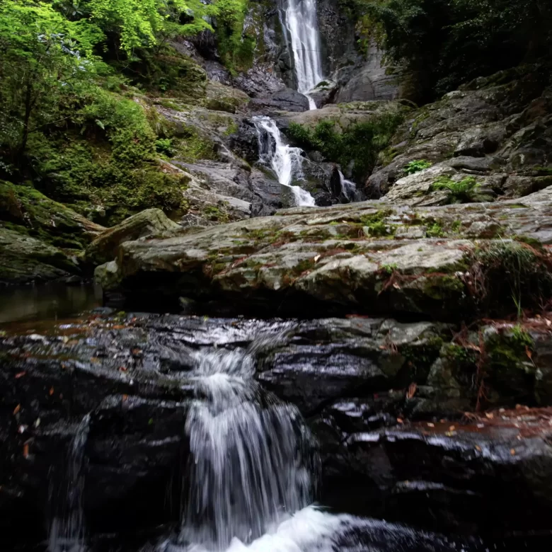 木々の隙間から見える滝