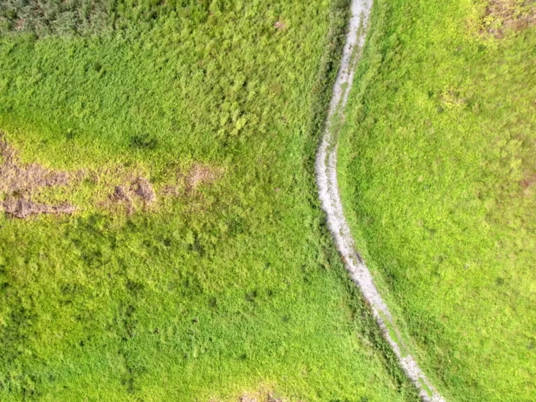 草原の小道を上から